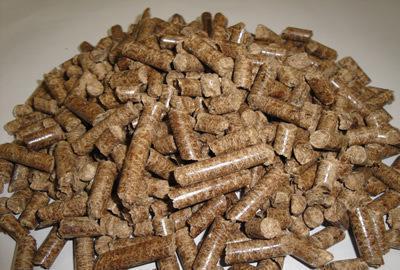 高污染燃料目錄，生物質(zhì)成型燃料